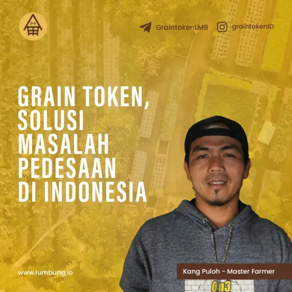 Jasa Social Media Management - Lumbung 1