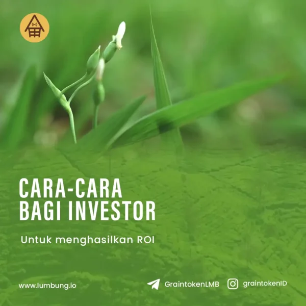 Jasa Social Media Management - Lumbung 18