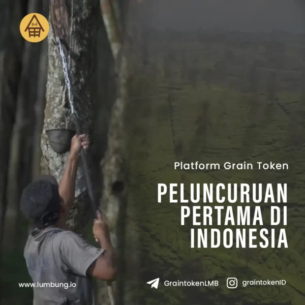 Jasa Social Media Management - Lumbung 20