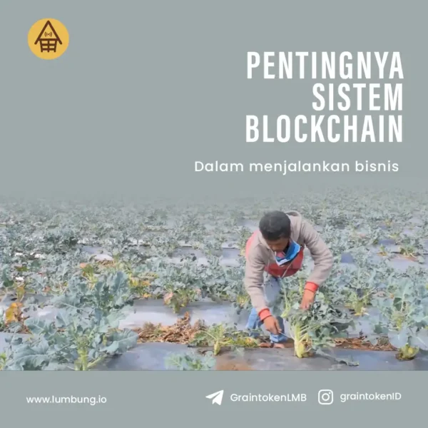 Jasa Social Media Management - Lumbung 22