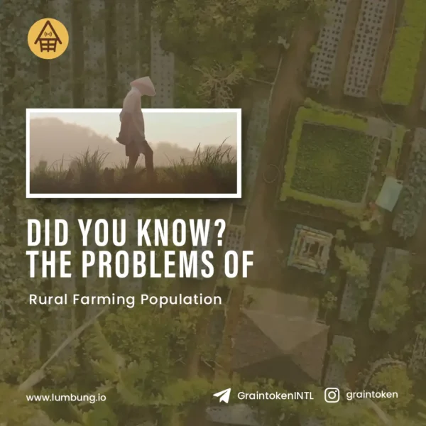 Jasa Social Media Management - Lumbung 3