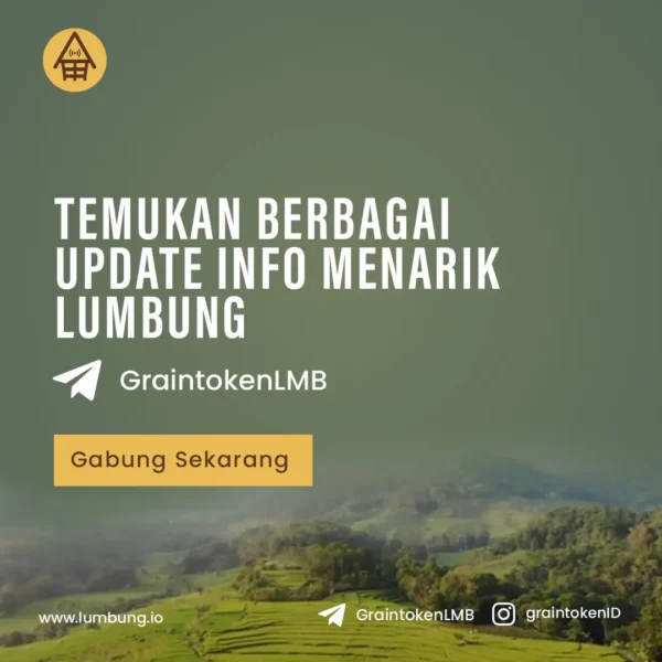 Jasa Social Media Management - Lumbung 29