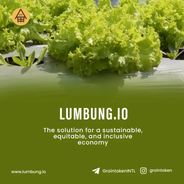 Jasa Social Media Management - Lumbung 5