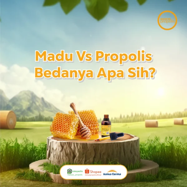 Jasa Kelola Sosmed - Maisya Propolis 8