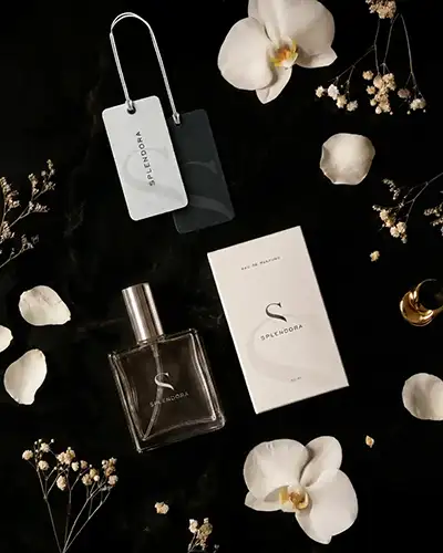 paket jasa desain logo 5